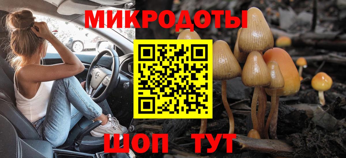 Псилоцибиновые грибы Cubensis Гусиноозёрск
