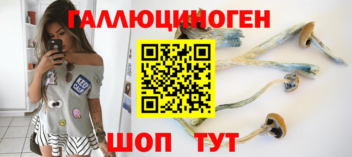 Псилоцибиновые грибы Cubensis  Вход с VPN  Галлюциногенные грибы GOLDEN TEACHER  Гусиноозёрск 